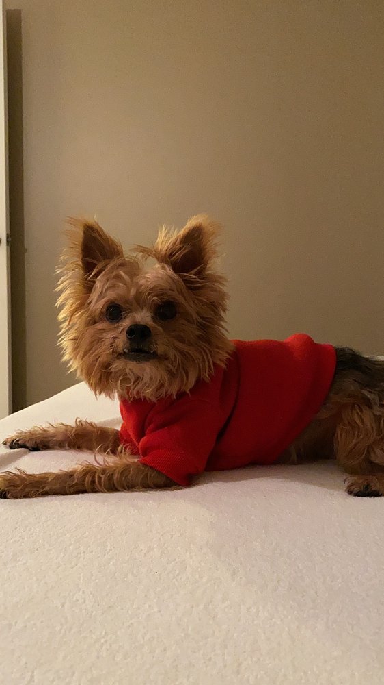 Sabina T.'s profile image