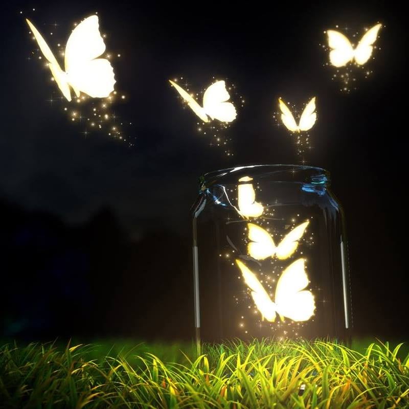 Rainy B.'s profile image