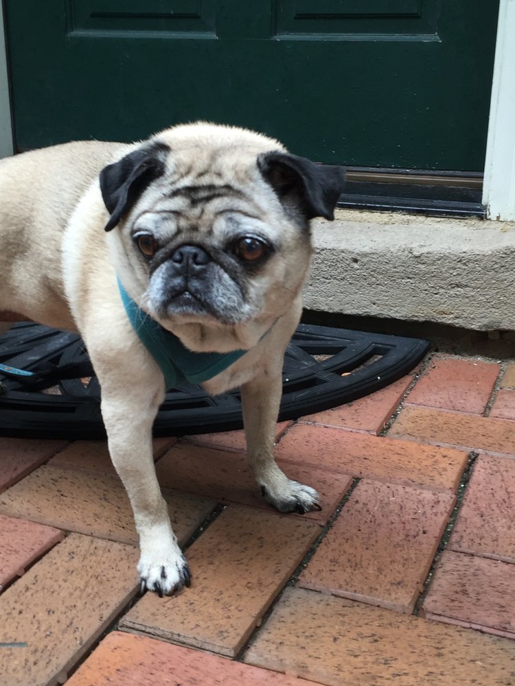 E P.'s profile image