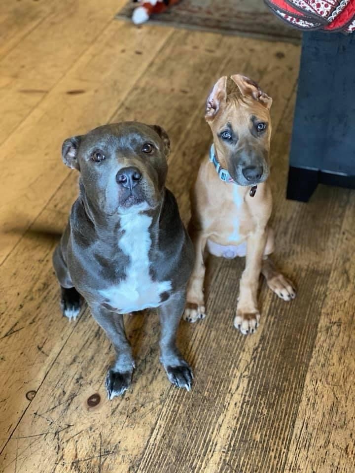 Jenn's profile image