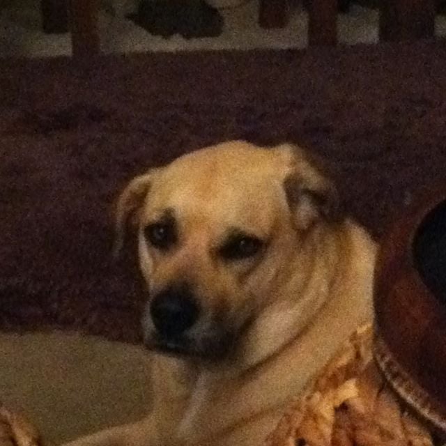 Veronica M.'s profile image