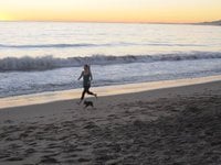 Lacie M.'s profile image