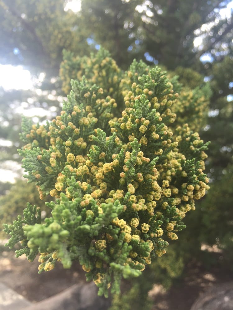 Christine H.'s profile image