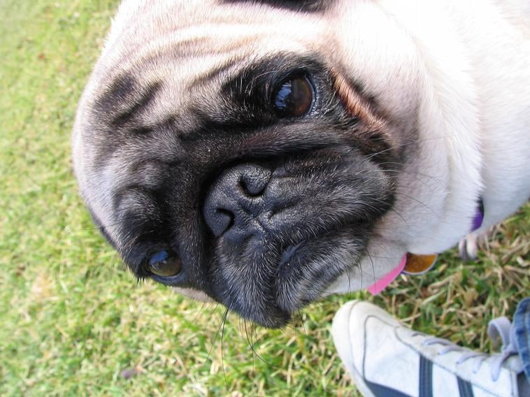 Vera M.'s profile image