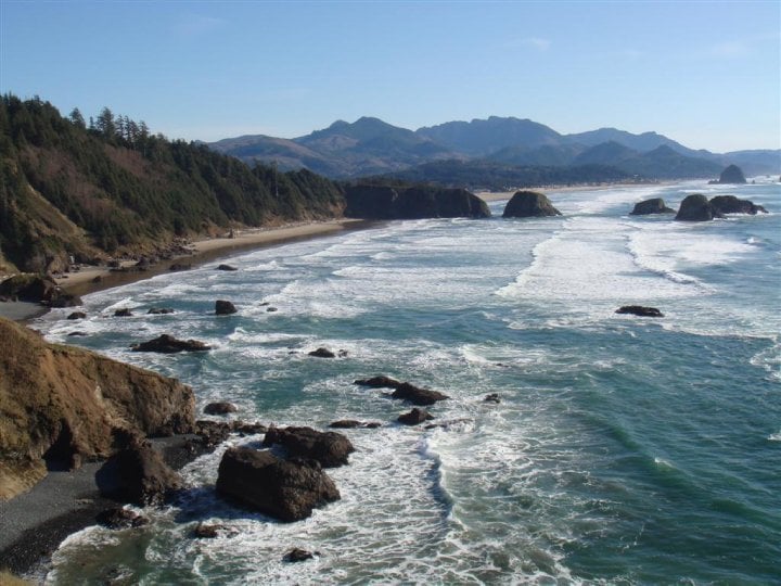 Rui T.'s profile image