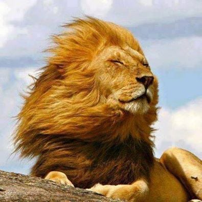 Mike G.'s profile image