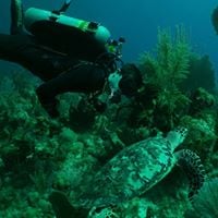 Michael G.'s profile image