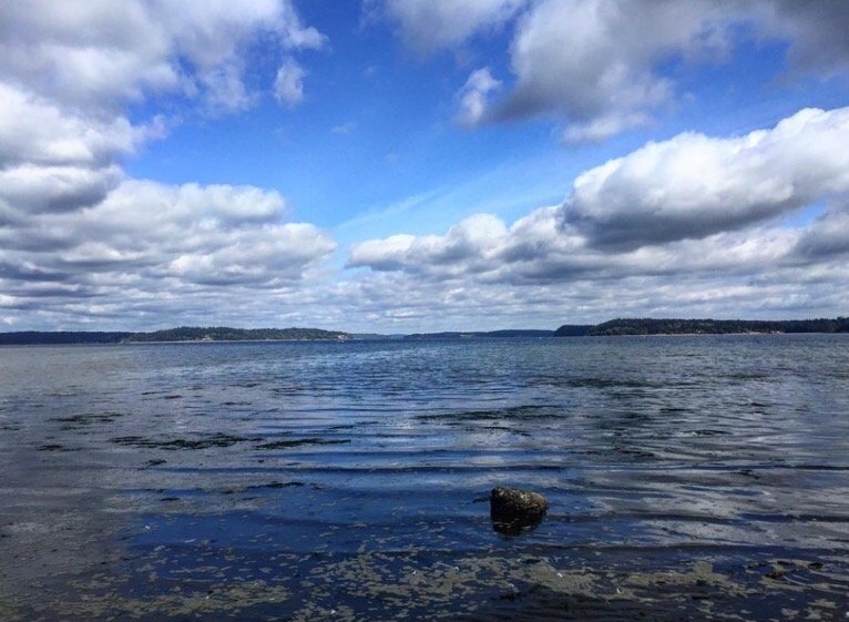 Yuen C.'s profile image