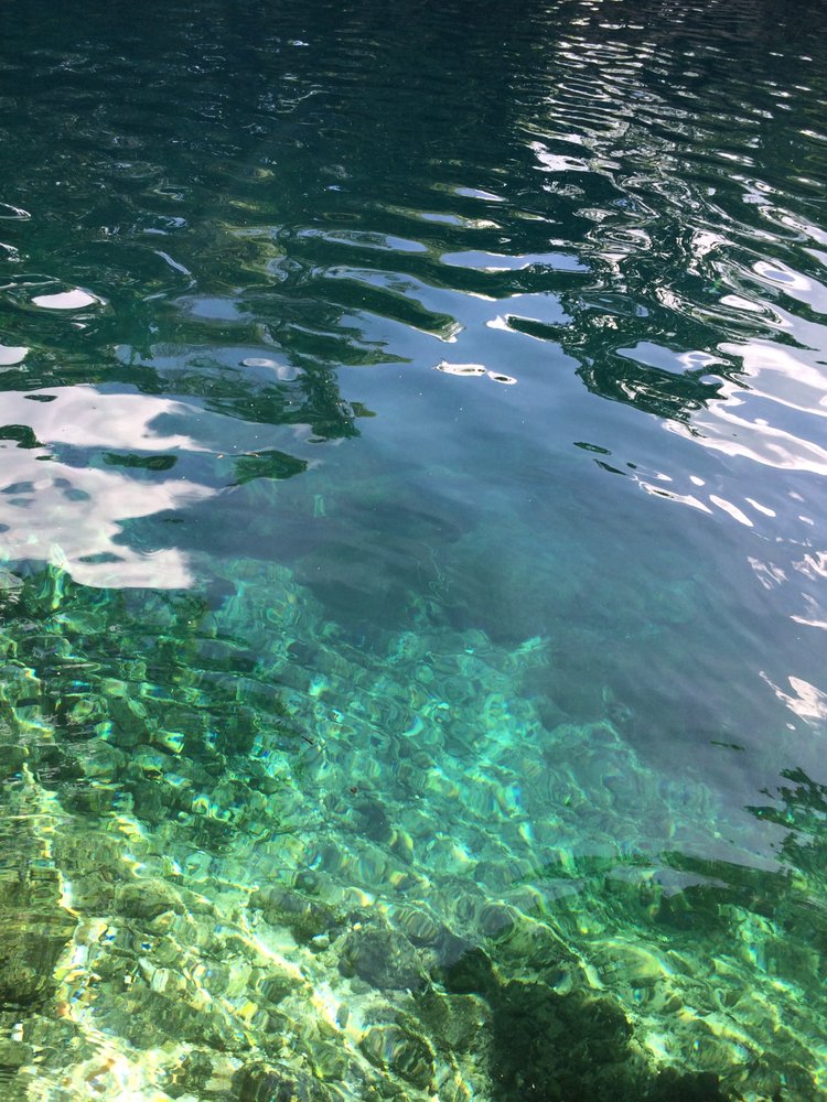 Lisa V.'s profile image