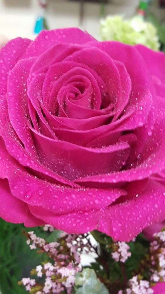 Tina G.'s profile image