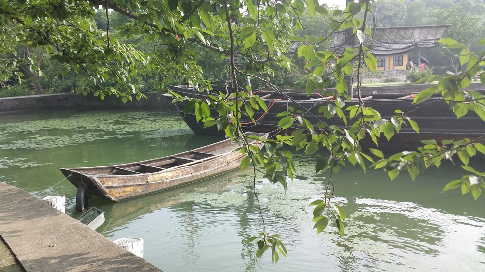 Shawna L.'s profile image