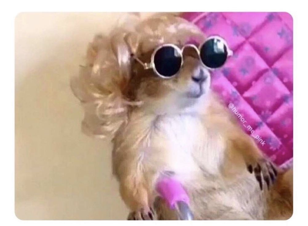 Crystal K.'s profile image