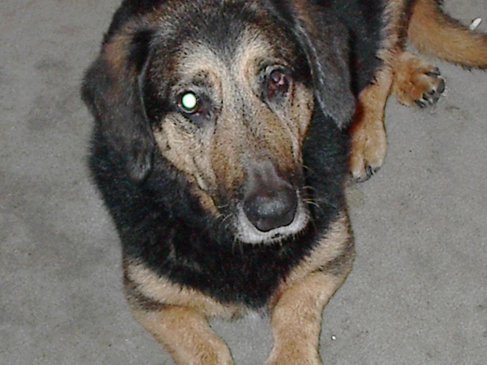 Karen S.'s profile image