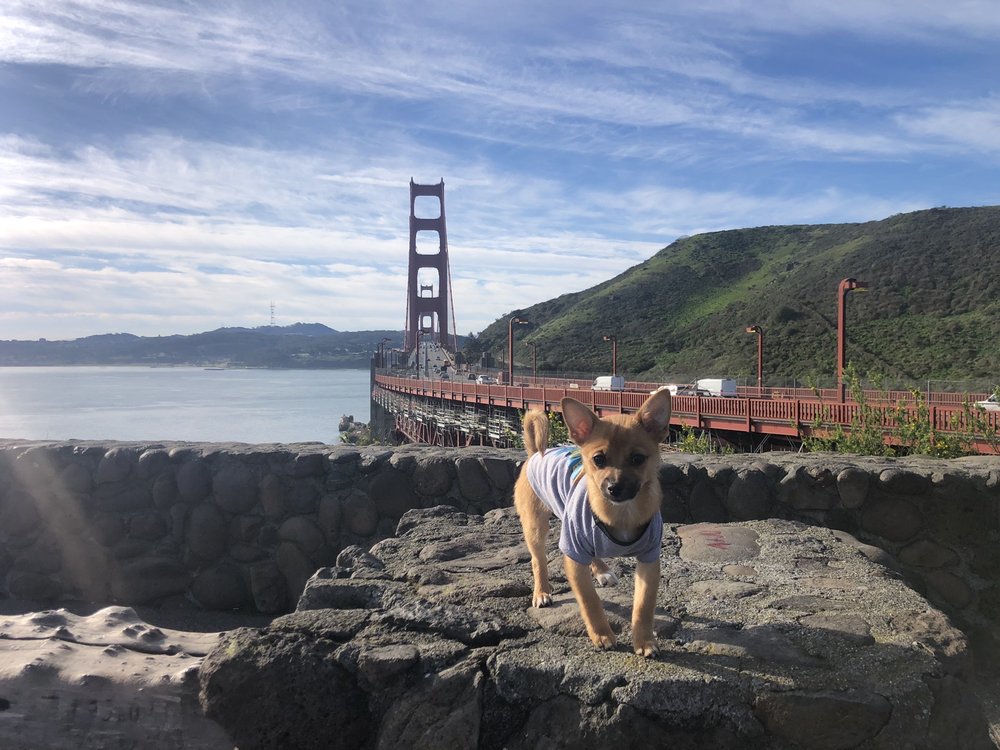 Mark J.'s profile image