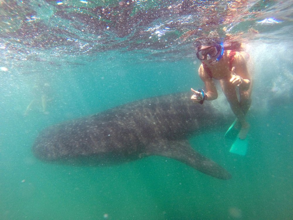 Adrienne N.'s profile image