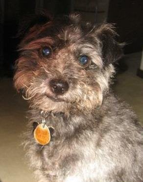 Geoff C.'s profile image