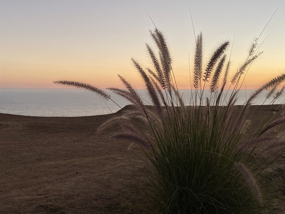 D L.'s profile image