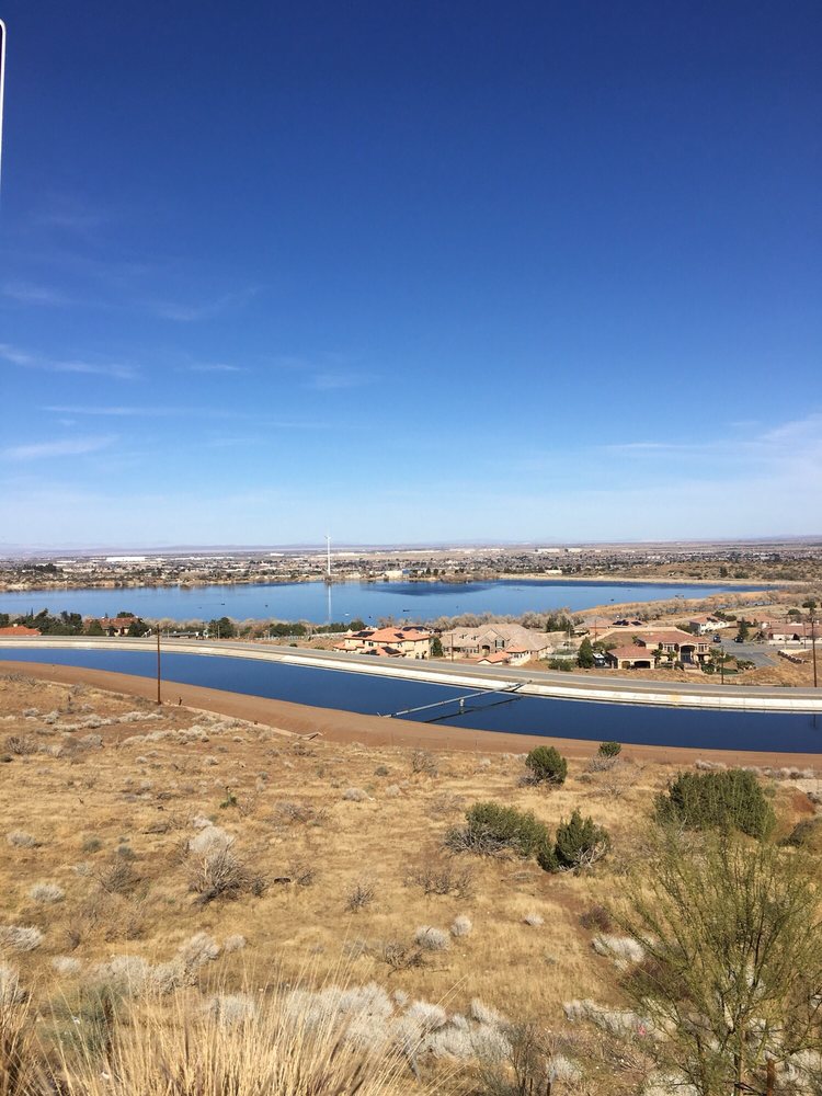 Ilana K.'s profile image