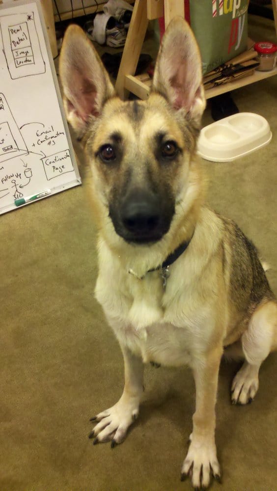 Bong K.'s profile image