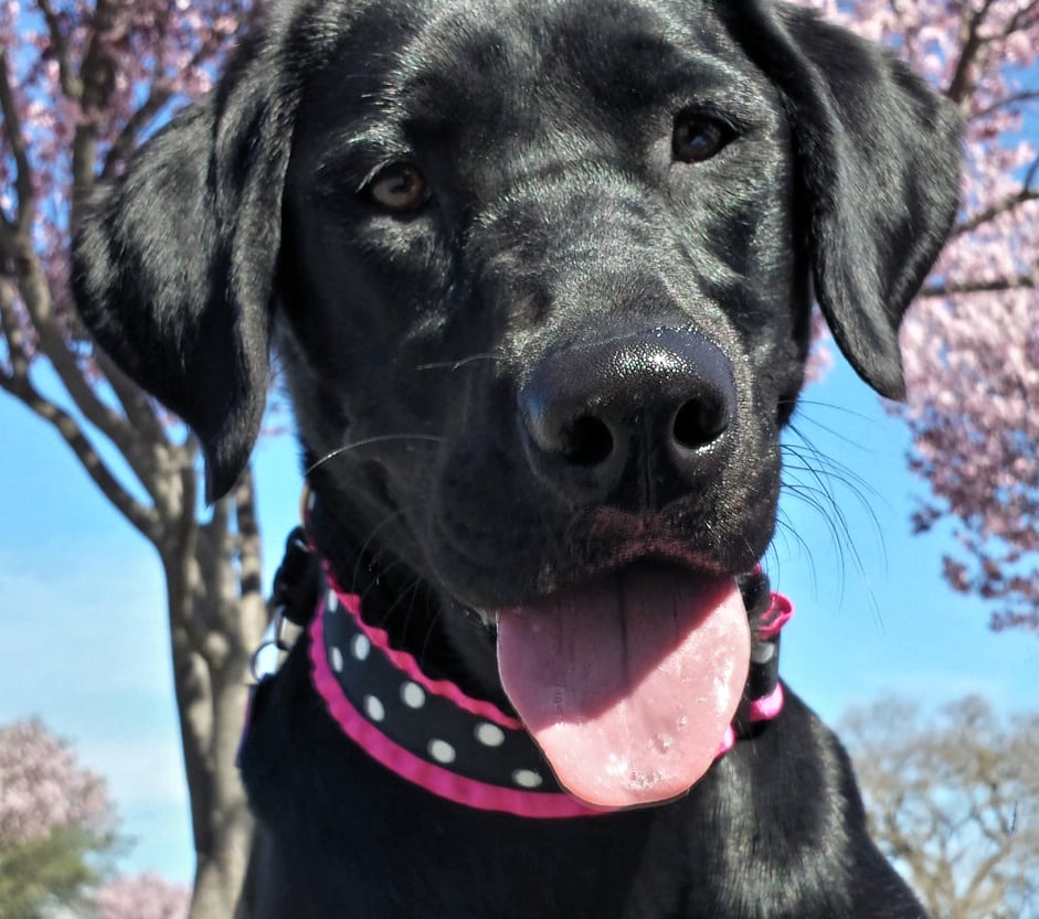 D O.'s profile image