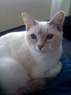 Ruth C.'s profile image