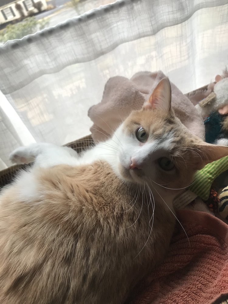 Jane H.'s profile image