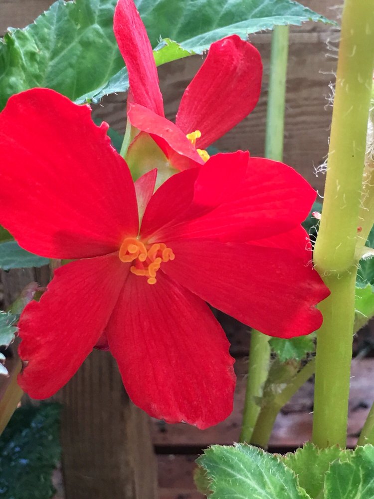 C F.'s profile image