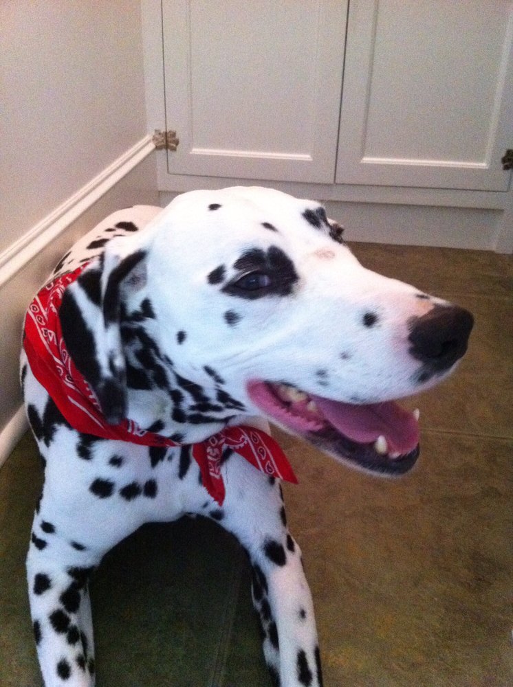 Jason M.'s profile image