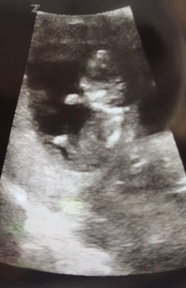 Stephanie F.'s profile image