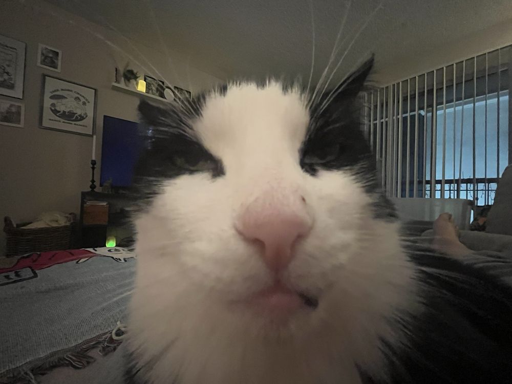 Beth B.'s profile image