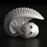 Bathsheba G.'s profile image