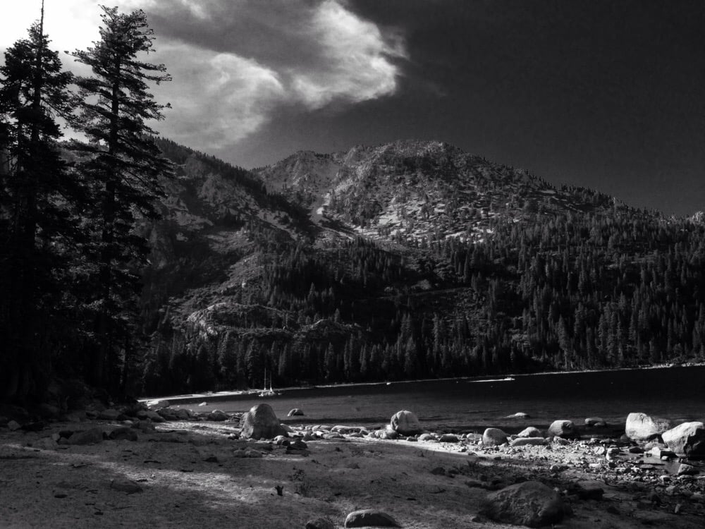 Steve S.'s profile image