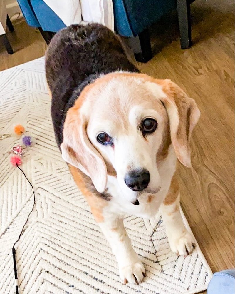 Suelay T.'s profile image