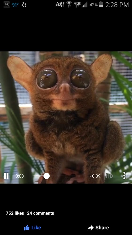 Kenny S.'s profile image