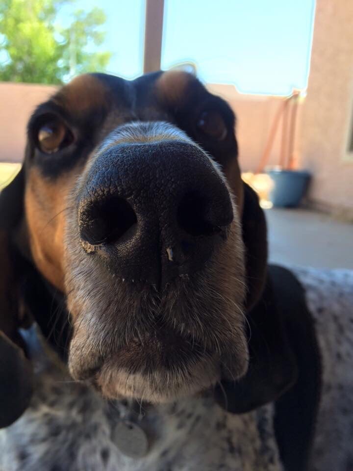 Janice S.'s profile image