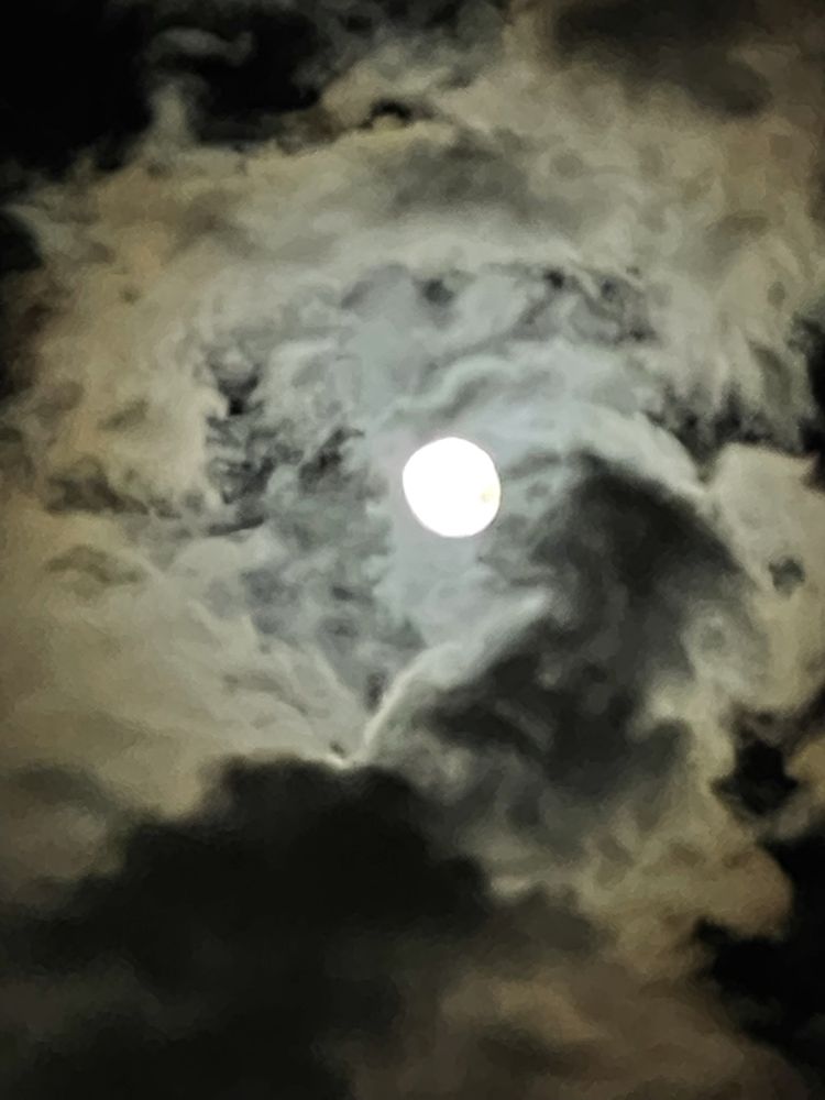 Muglar S.'s profile image