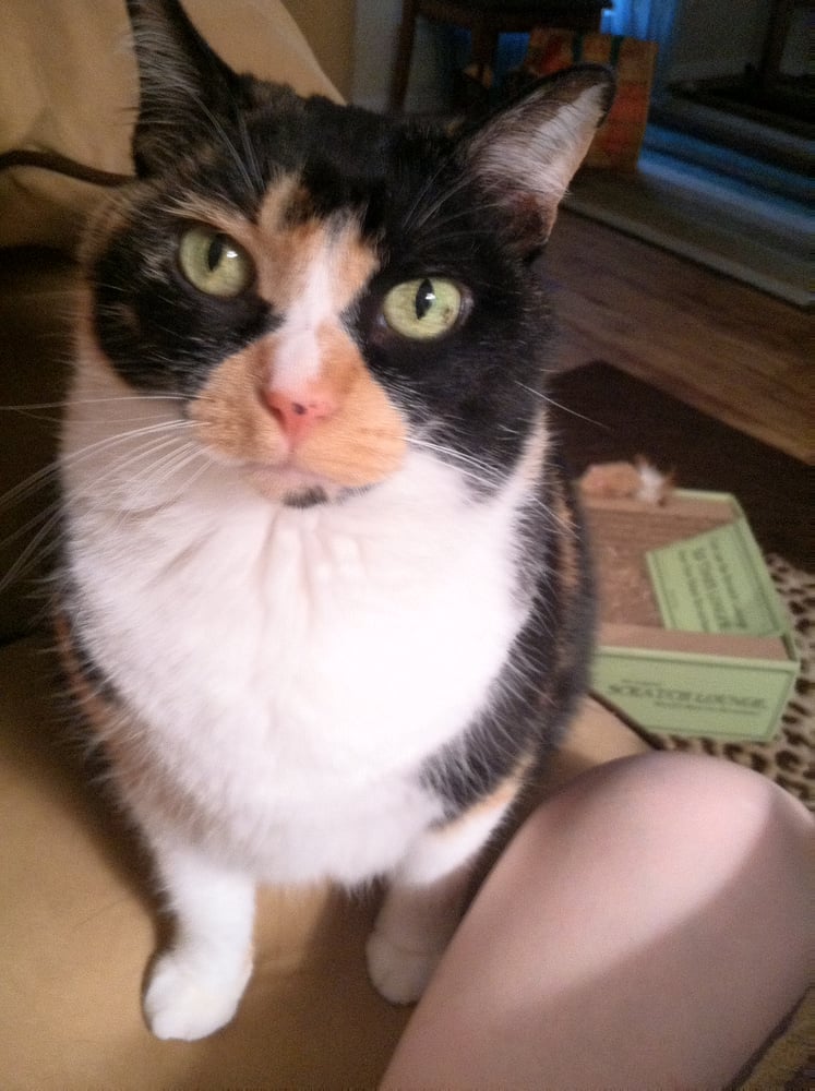 Erin K.'s profile image