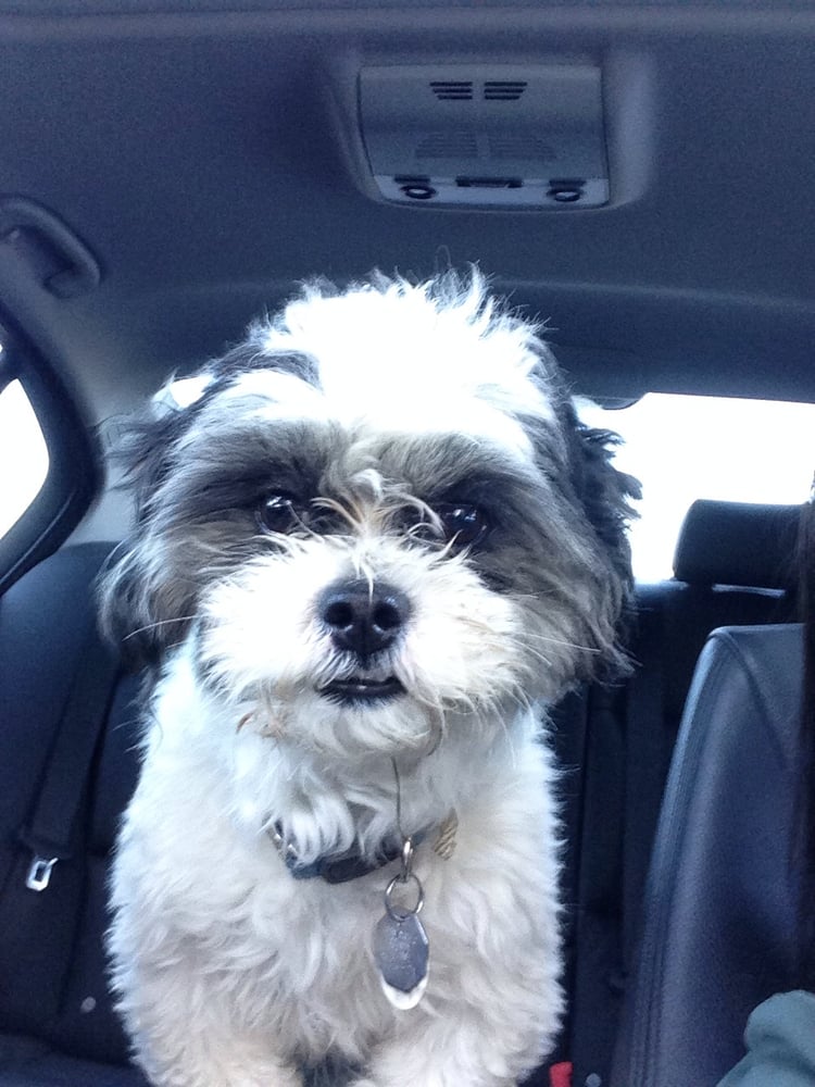 Stephanie P.'s profile image