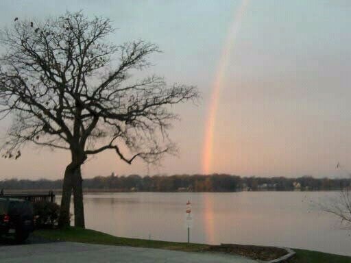 Suzanne S.'s profile image