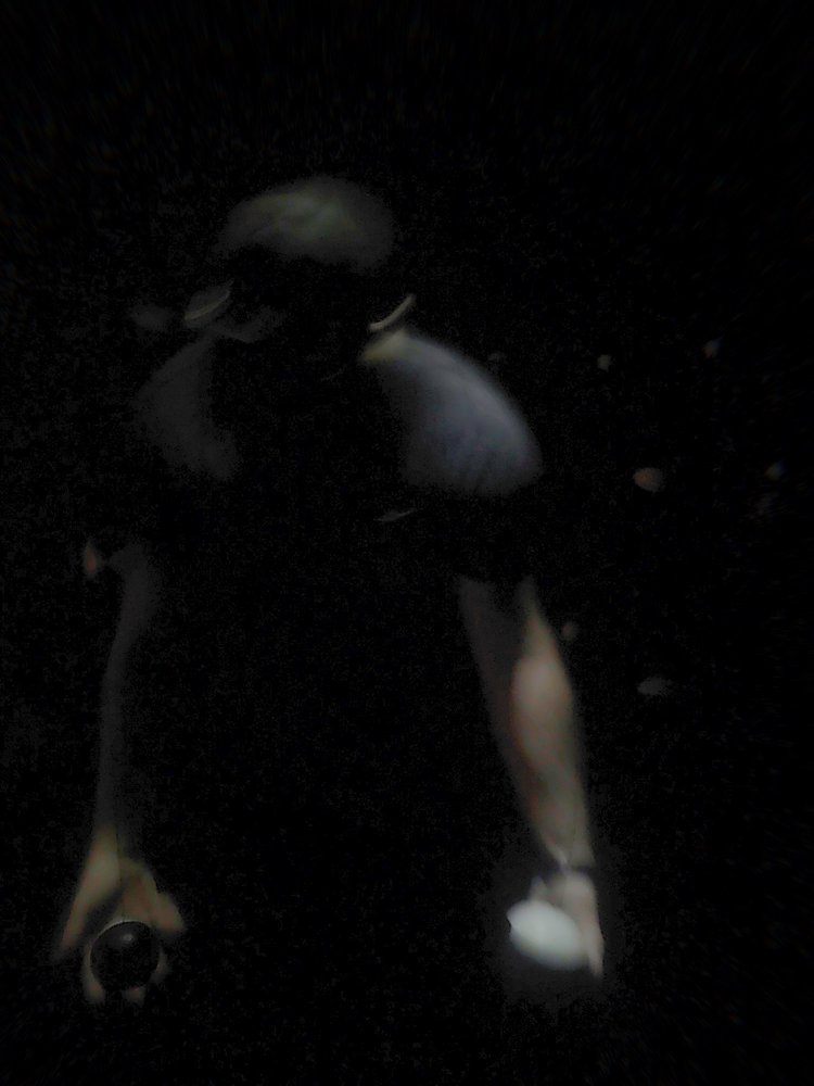 KJ O.'s profile image