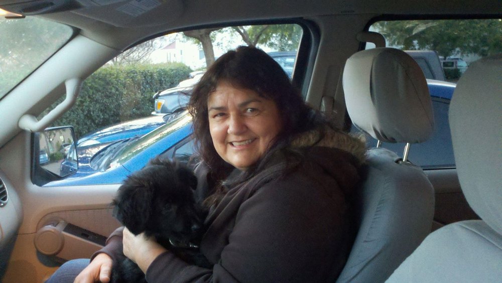 Lisa P.'s profile image