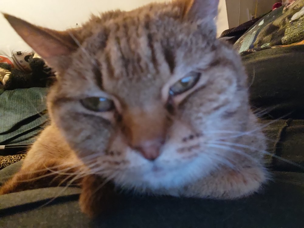 Tina J.'s profile image