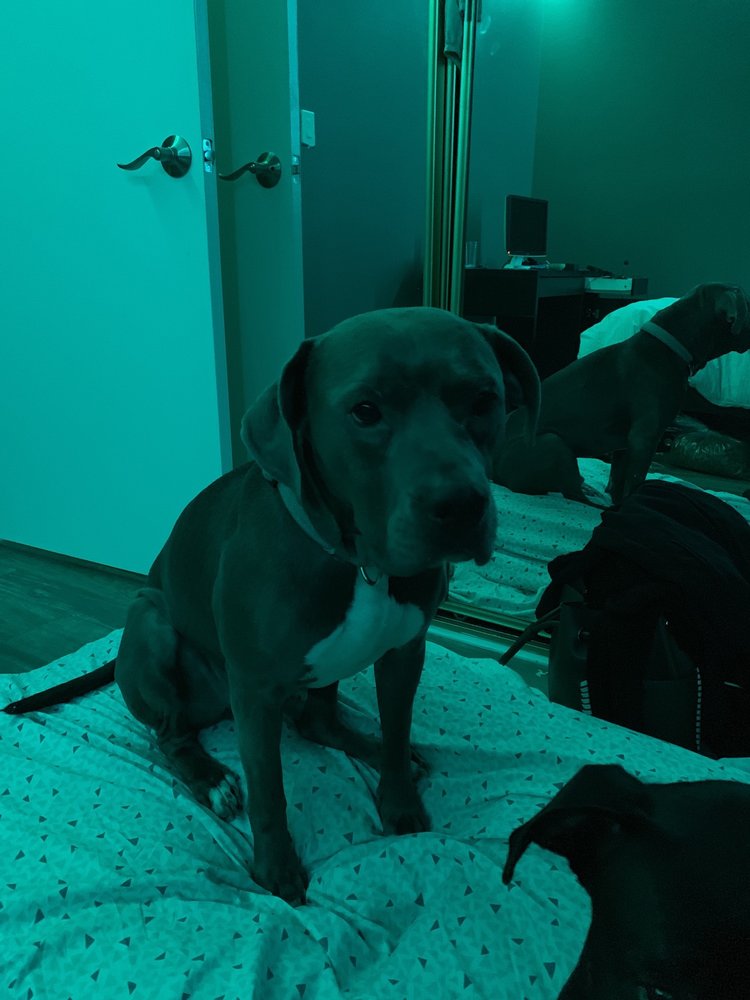 Chris M.'s profile image