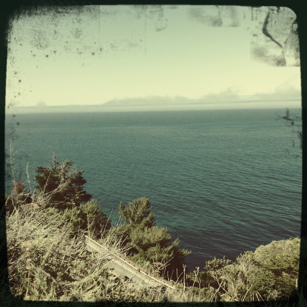 jill w.'s profile image