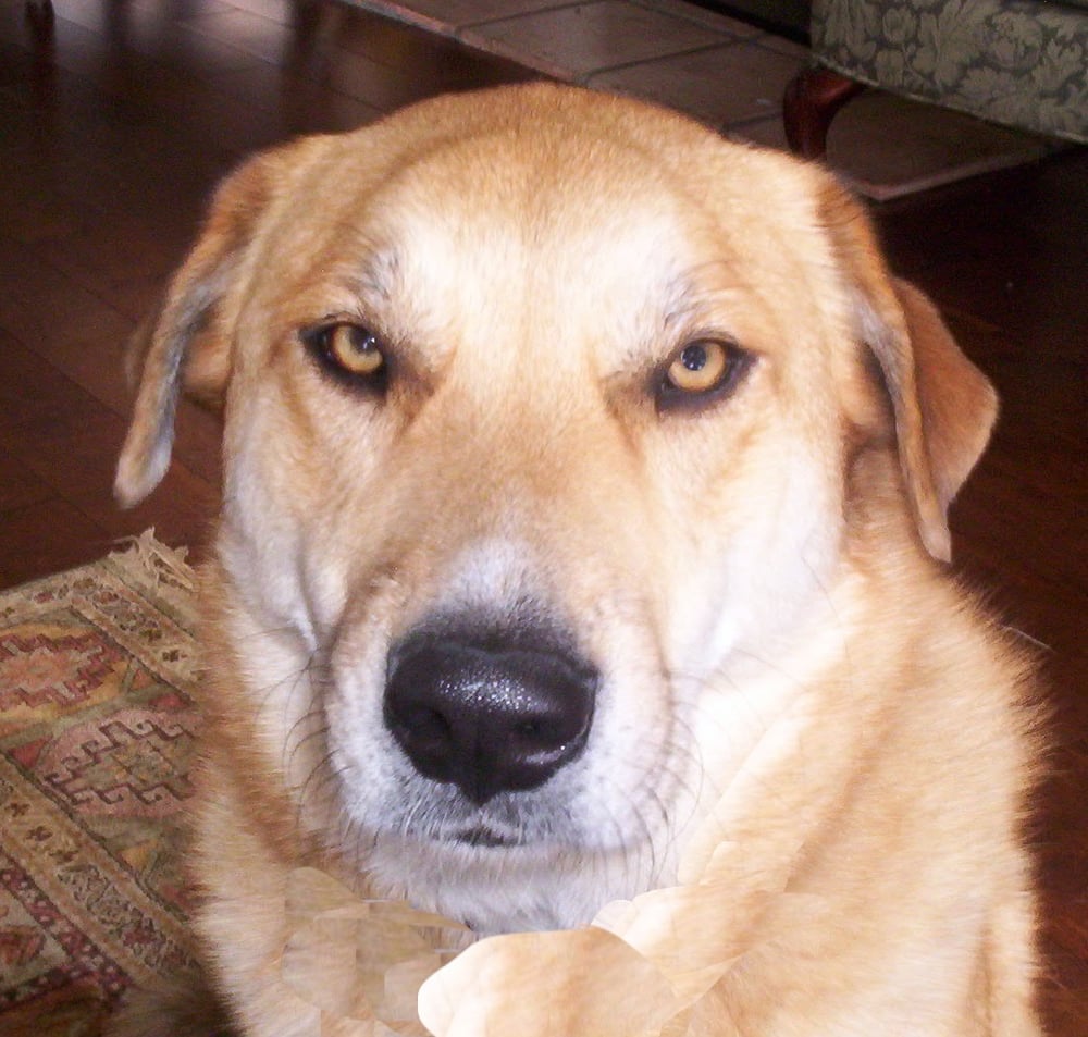 S R.'s profile image