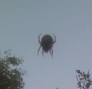 Paul F.'s profile image