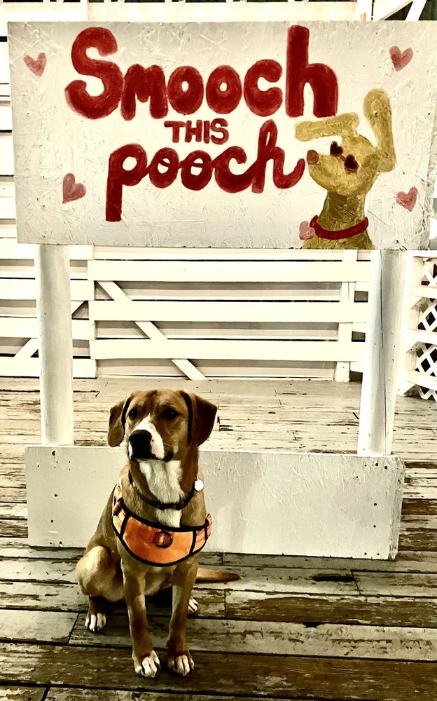 Jennifer T.'s profile image