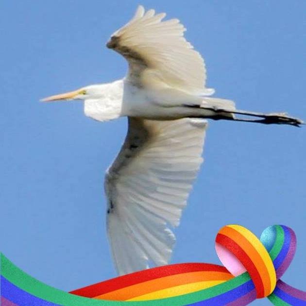 Mary S.'s profile image