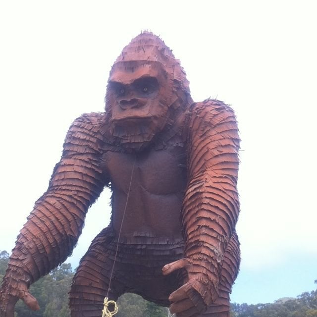 Your N.'s profile image