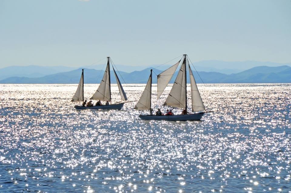 Les M.'s profile image